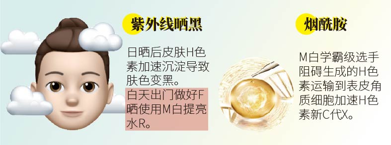 M白成分一籮筐！大圖告訴你怎么選