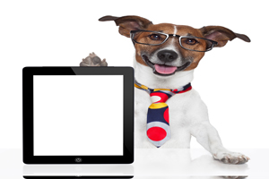 黑色素是什么怎么產(chǎn)生的