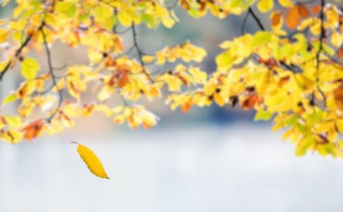 誰來隱藏你的皺紋