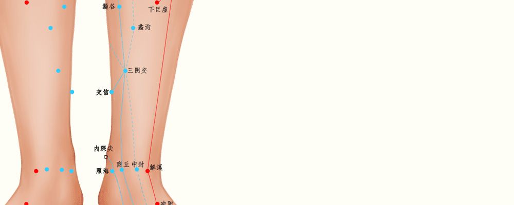 中醫(yī)美容 三陰交穴的神奇抗衰功效